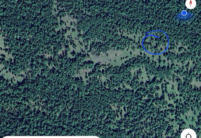 Хөвсгөл аймгийн Тариалан суманд гэрийнхээ гаднаас алга болсон 2 настай хүүг эрэн хайх ажиллагаа үргэлжилж байна