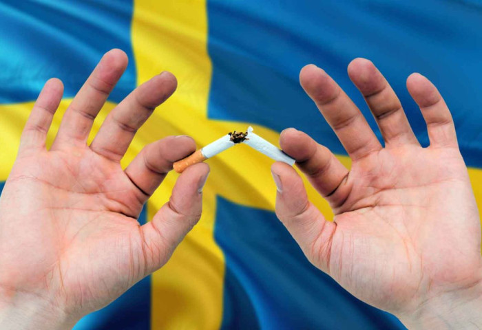 Тамхидалтын түвшинг буулгах арга: Швед улсын амжилттай туршлага