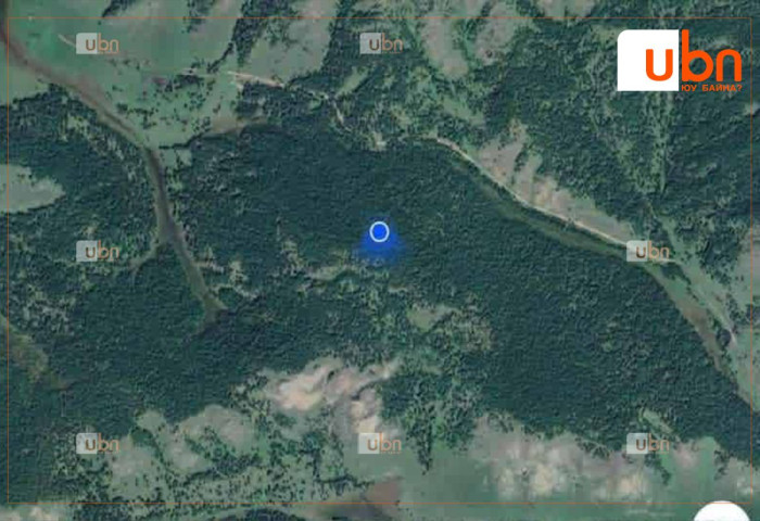 ТОДРУУЛГА: Хоёр настай хүү аав, ээжийгээ мод бэлтэж байх хооронд машиндаа унтаж байгаад сураггүй алга болжээ