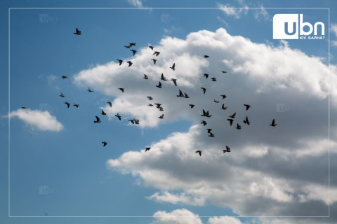 Улаанбаатарт 20 хэм дулаан, үүлшинэ