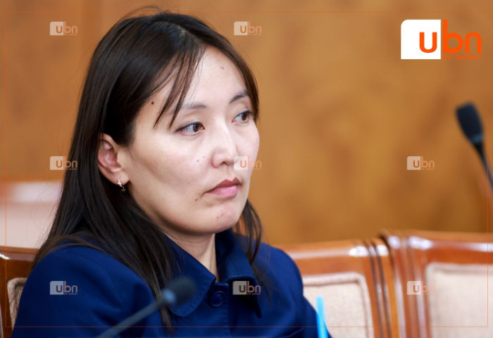 Б.Уянга: Манайхан геологийн салбарын нарийн мэргэжлийнхэндээ нэг л итгэж өгөхгүй байх шиг байна
