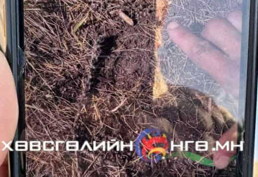 “Хүүхдийн мөр биш“ болох нь тогтоогджээ