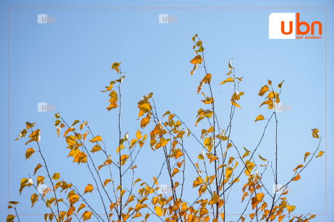 Маргааш Улаанбаатарт 20 хэм дулаан, цэлмэг