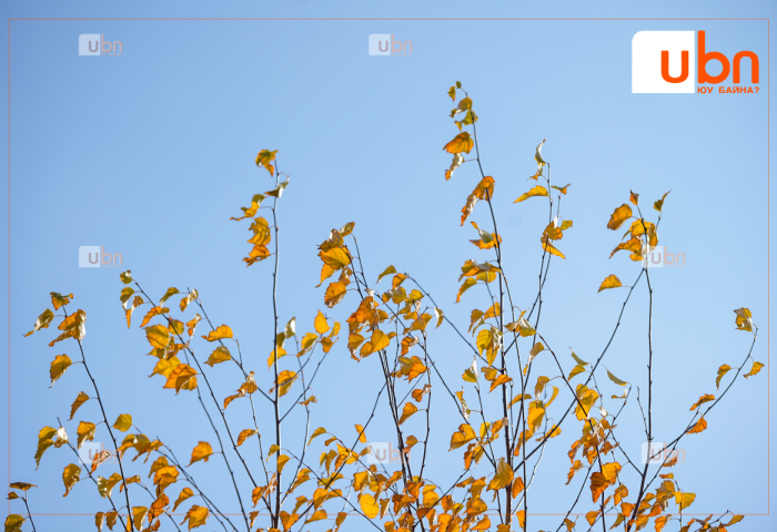 Маргааш Улаанбаатарт 20 хэм дулаан, цэлмэг