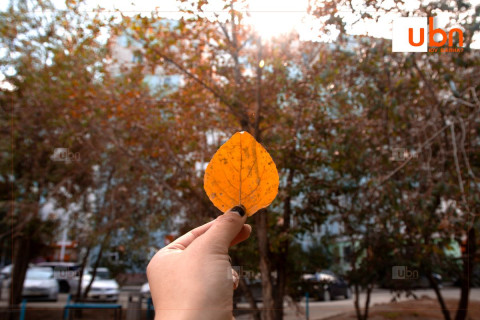 ӨГЛӨӨНИЙ МЭНД: Улаанбаатарт 21 хэм дулаан, зөөлөн салхитай, цэлмэг