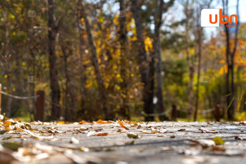 ТӨЛӨВ: Энэ сарыг дуустал ихэнх нутгаар цаг агаар тогтуун, өдөртөө дулаахан байна