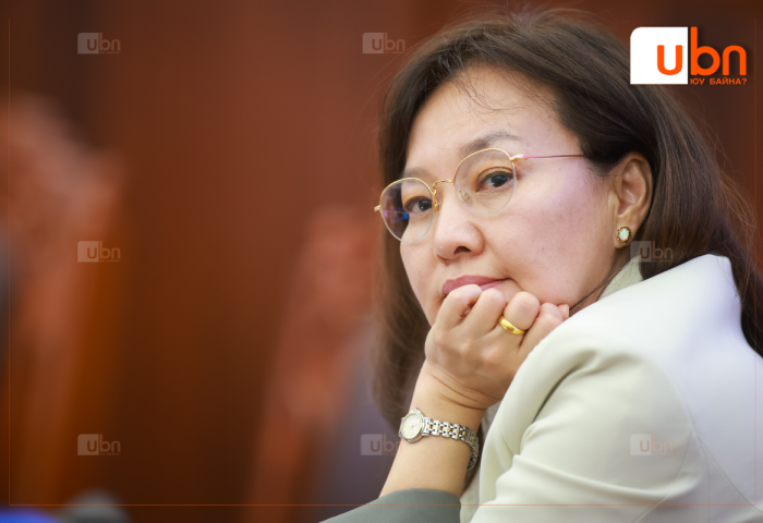 УИХ-ын гишүүн Д.Ганмаа өөрийг нь “Аятайхан байгаарай“ гэж дарамталсан гэх Эрүүл мэндийн сайд Ж.Чинбүрэнг Ёс зүйн дэд хороонд өгчээ