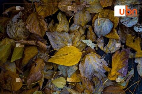 ӨГЛӨӨНИЙ МЭНД: Улаанбаатарт өдөртөө 5 хэм дулаан