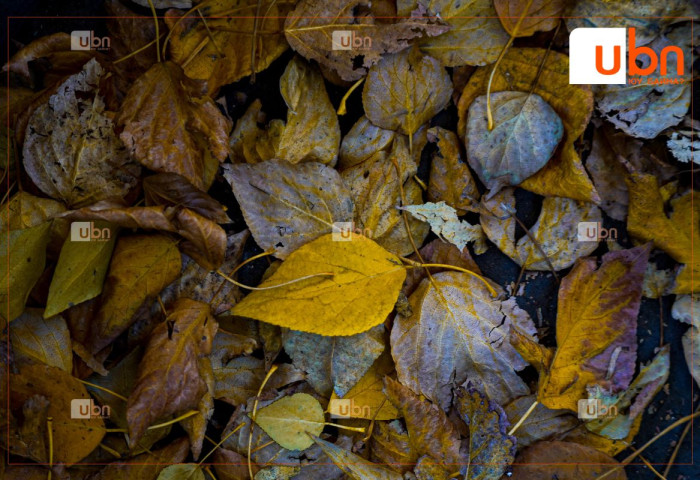 ӨГЛӨӨНИЙ МЭНД: Улаанбаатарт өдөртөө 5 хэм дулаан