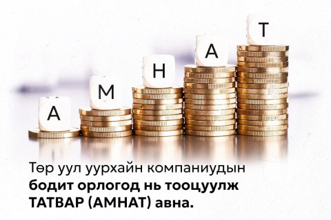 Уул уурхай руу чиглэсэн улс төржилт ба АМНАТ