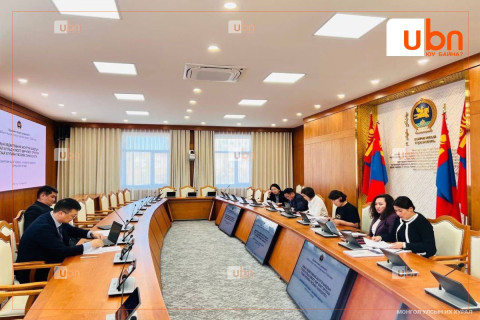 Мопед, скүүтер түрээсийн үйлчилгээ эрхлэгчдээс бүрдсэн Дэд ажлын хэсэг байгуулахаар боллоо