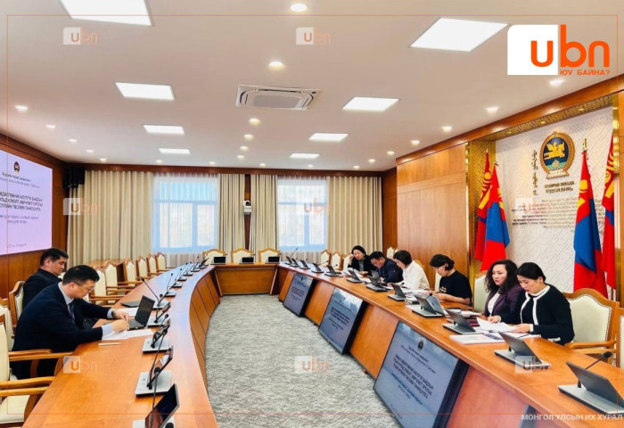 Мопед, скүүтер түрээсийн үйлчилгээ эрхлэгчдээс бүрдсэн Дэд ажлын хэсэг байгуулахаар боллоо