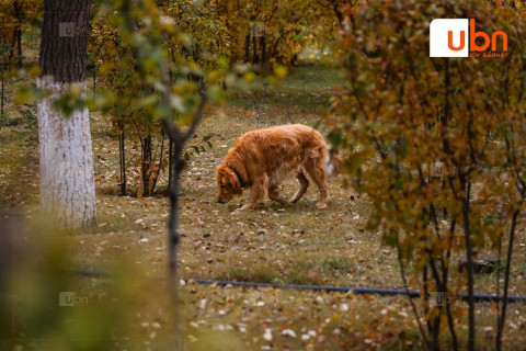 Улаанбаатарт маргааш 10 хэм дулаан