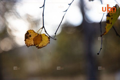 ӨГЛӨӨНИЙ МЭНД: Улаанбаатарт өдөртөө -7 хэм хүйтэн. Цас орохгүй