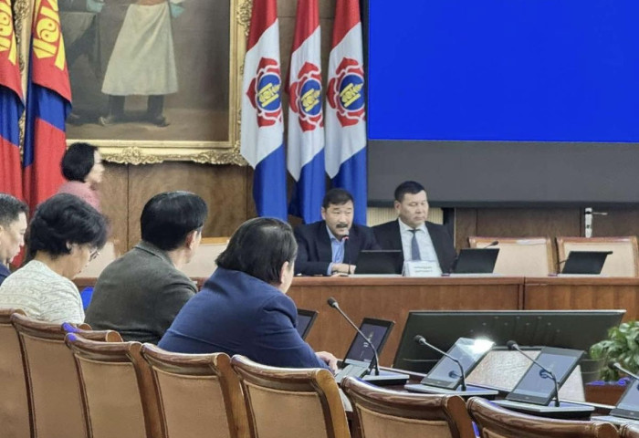 МАН-ын бүлэг хоёр даргатай хуралдаж байна