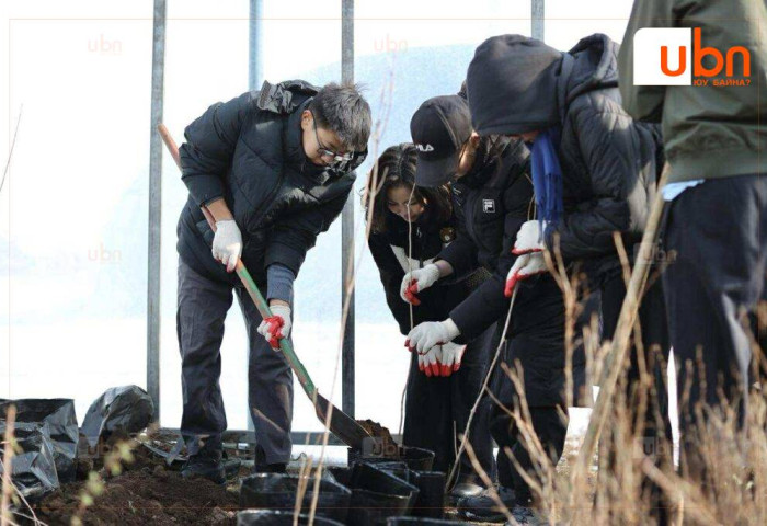 “Тэрбум мод” үндэсний хөдөлгөөний хүрээнд 117 сая мод тарьж, ургуулж байна