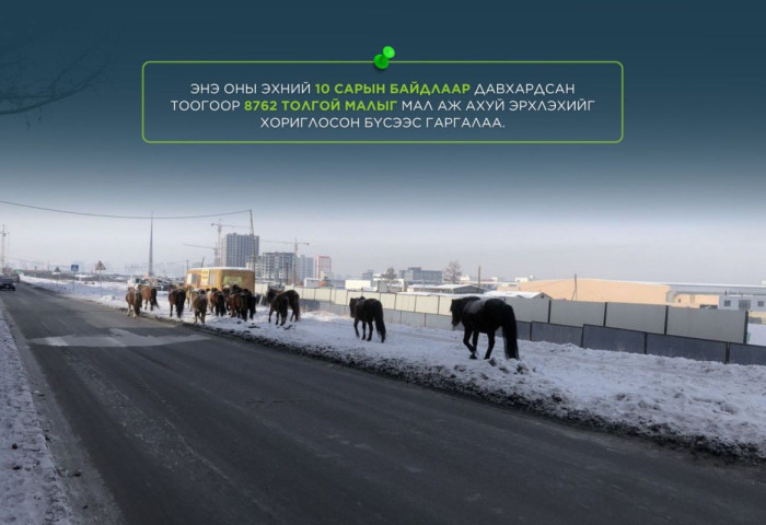 Мал аж ахуй эрхлэхийг хориглосон бүсээс малаа гаргаагүй иргэн, ААН-ыг Зөрчлийн тухай хуулиар торгох зохицуулалттай