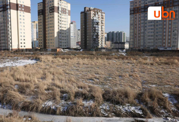 Ногоон нуурт хиймэл нуур бүхий цэцэрлэгт хүрээлэн байгуулна