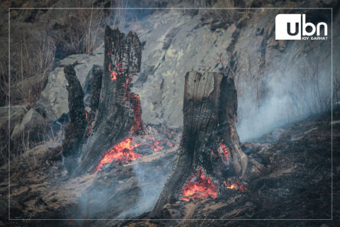 Сүхбаатар аймгийн Эрдэнэцагаан суманд 800 га талбай хээрийн түймэрт өртжээ