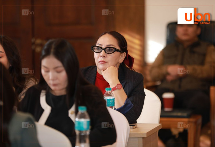 Сэтгүүлчдийг байгаль орчны чиглэлээр мэргэшүүлэх сургалт эхэллээ