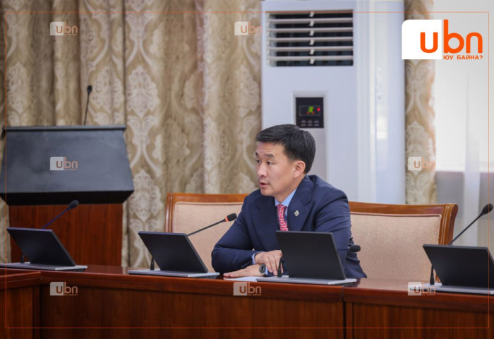 ТБХ:Төсвийн зарлагын хяналтын дэд хорооны даргаар Д.Цогтбаатарыг сонголоо