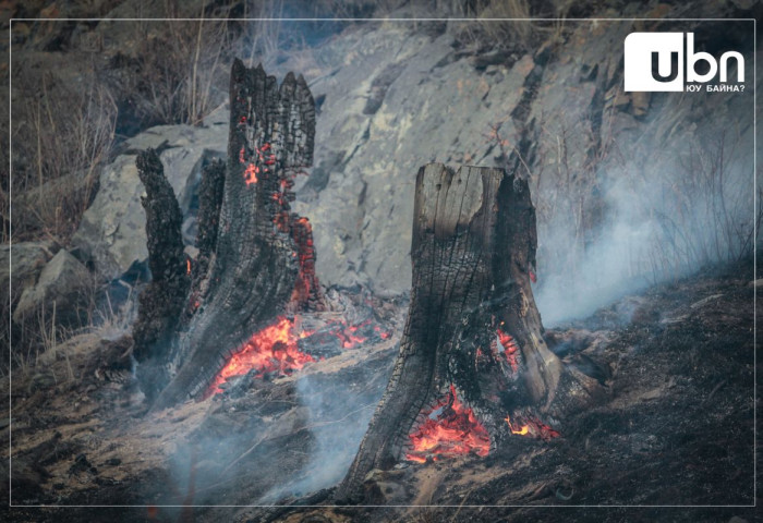 Дорнод аймагт 3 газар ой хээрийн түймэр гарч, нийт 2200 гаруй га газар түймэрт өртжээ