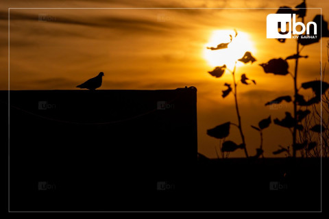 ӨГЛӨӨНИЙ МЭНД: Улаанбаатарт өдөртөө 6 хэм дулаан