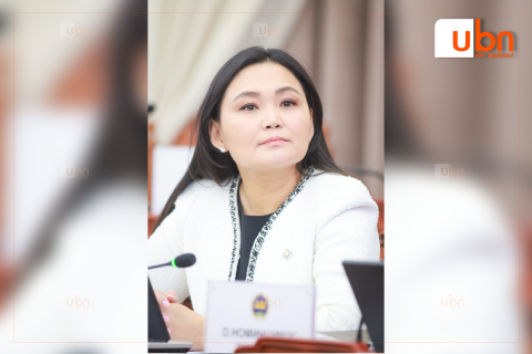 Ч.Номин: “Тамгагүй төр”-д төсвөөс мөнгө зарцуулсан бол төлөвлөгөө биш, санхүүгийн баримт гаргаж тавих байсан