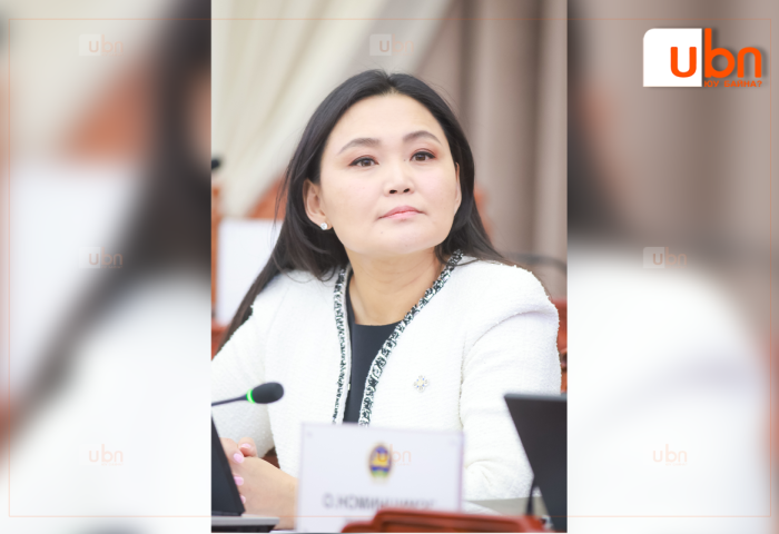 Ч.Номин: “Тамгагүй төр”-д төсвөөс мөнгө зарцуулсан бол төлөвлөгөө биш, санхүүгийн баримт гаргаж тавих байсан