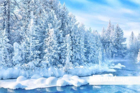 Хүйтэн өдөр 37 хоногоор багасна