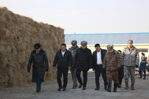 Гамшиг, аюулт үзэгдэл, ослын дуудлага 12.9 хувиар буурсан байна