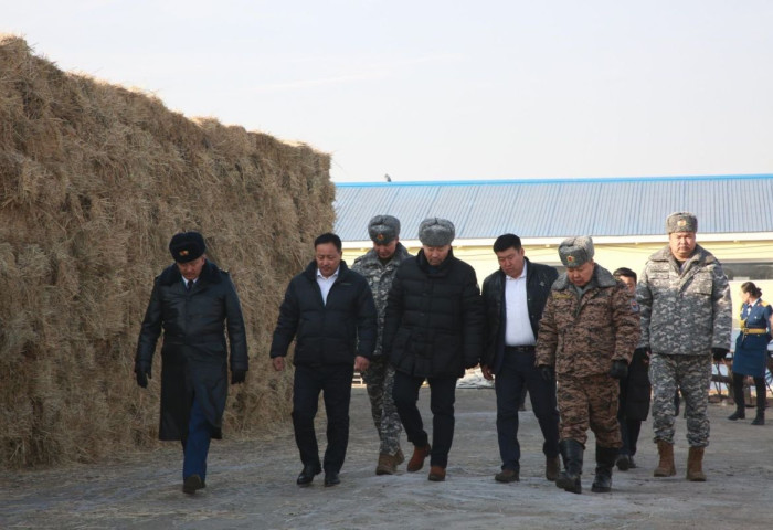 Гамшиг, аюулт үзэгдэл, ослын дуудлага 12.9 хувиар буурсан байна