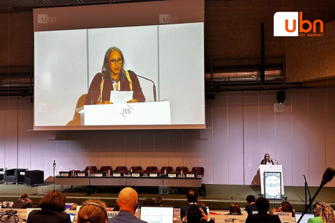 Дэлхийн улсууд ДЭМБ-ыг хор хөнөөлийг бууруулах бүтээгдэхүүнийг дэмжихийг шаардав