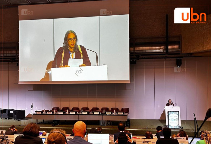 Дэлхийн улсууд ДЭМБ-ыг хор хөнөөлийг бууруулах бүтээгдэхүүнийг дэмжихийг шаардав