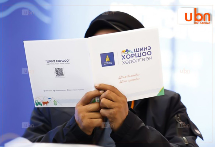 АУДИТ: Зээлийн батлан даалтын сан 394 сая төгрөгөөр ХХААХҮЯ-ны эрхлэх асуудалд нийцэхгүй “Шинэ хоршоо“ хөдөлгөөнд батлан даалт гаргасан