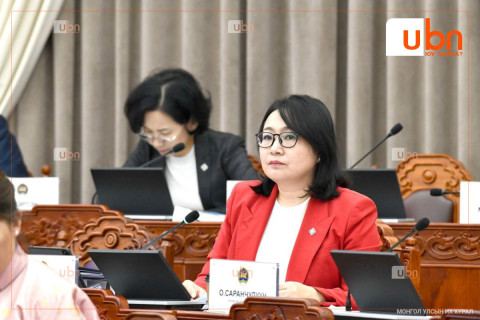 ЧУУЛГАН: Тамхины хяналтын тухай хуулийн төслийг хэлэлцэх эсэхийг хэлэлцэнэ