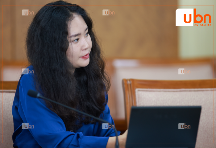 С.Цэнгүүн: Сүүлийн 15 жилд 5 ИХ НАЯД төгрөгийг утаатай тэмцэхэд ЗАРЦУУЛСАН