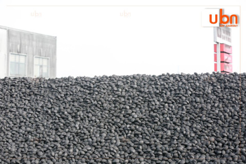 Нийслэлчүүд өнөөдрөөс хагас коксон шахмал түлшний хэрэглээнд бүрэн шилжиж байна