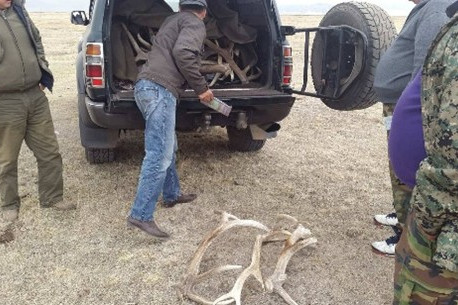 БАЙГАЛЬ ОРЧНЫ ХЯНАЛТ 2025: Хууль бус ангийн чиглэлээр хяналт шалгалт хийгдэж байна