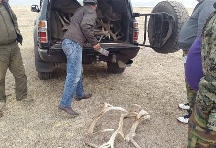 БАЙГАЛЬ ОРЧНЫ ХЯНАЛТ 2025: Хууль бус ангийн чиглэлээр хяналт шалгалт хийгдэж байна