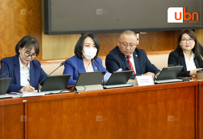 Импортын барааны гаалийн албан татварын хэм хэмжээг батлах тухай хуулийг чуулганаар хэлэлцэнэ