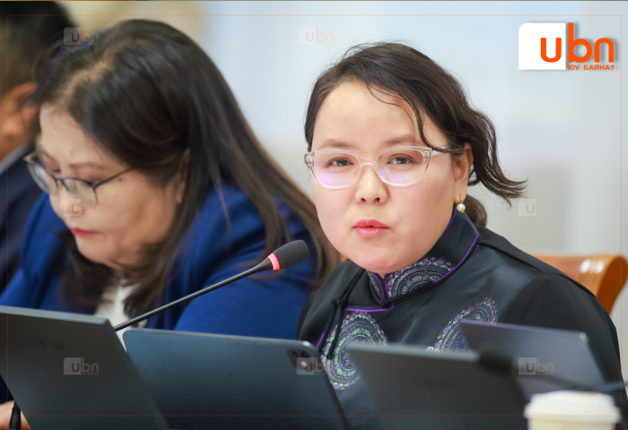 МАН-ын УЗ-өөс Хөгжлийн бэрхшээлтэй иргэд рүү чиглэсэн бодлогын хороог байгууллаа