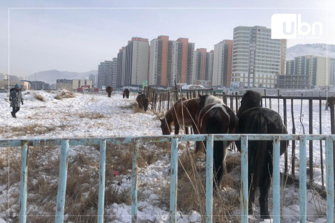 Улаанбаатарт -15 хэм хүйтэн