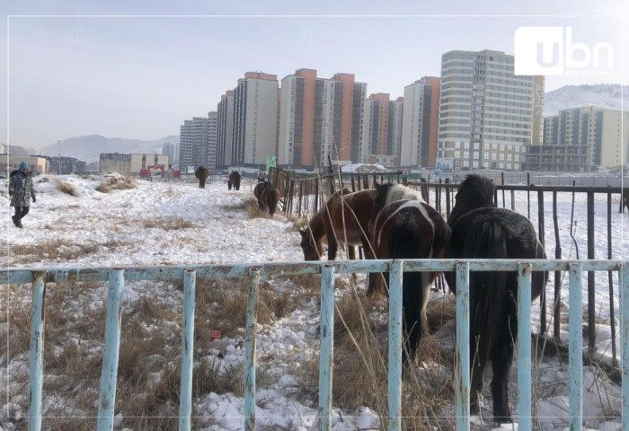 Улаанбаатарт -15 хэм хүйтэн