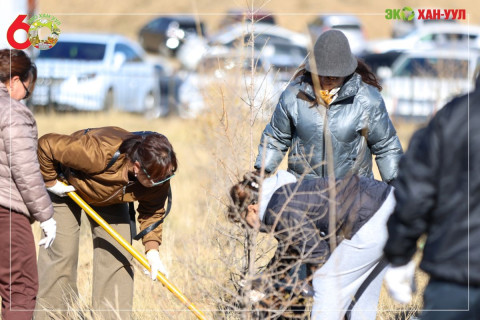 Хан-Уул дүүрэгт тэрбум мод тарих үндэсний өдрүүд үргэлжилж байна