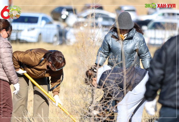 Хан-Уул дүүрэгт тэрбум мод тарих үндэсний өдрүүд үргэлжилж байна