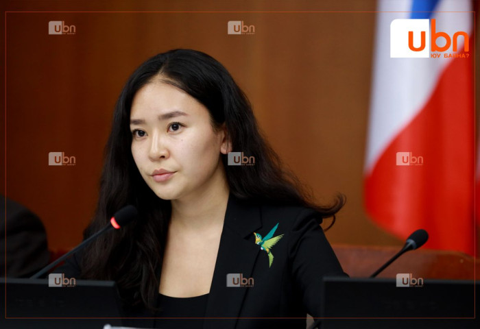 “Би 13 удаа гадаад томилолтоор, 4 удаа хувийн шугамаар чуулгангүй үед явсан“