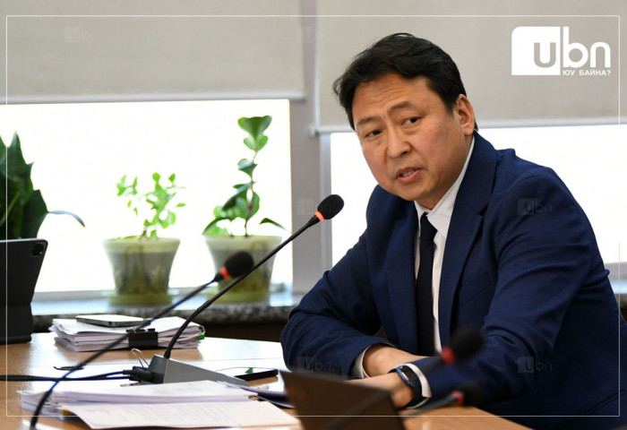 Боловсролын дэд сайдаар Д.Гантулгыг томилохоор болжээ