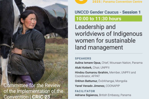 COP17 малчин монгол эмэгтэй цөлжилтийн сүүдрийг дэлхийд дуулгалаа