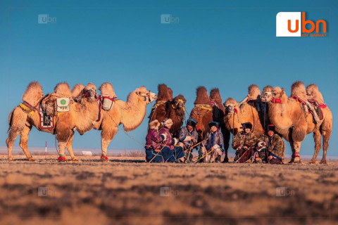 Тэмээчдийн баяр энэ сарын 23-25-нд Дундговь аймагт болно